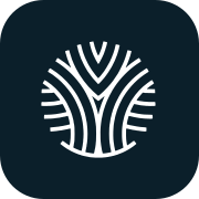 Celerity Advisors logo