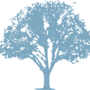 Lifetime Benefits Insurance logo
